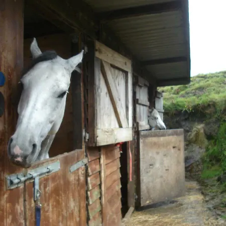 Bunkhouse - Farm Feriehus