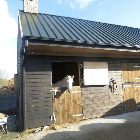 Feriehus Bunkhouse - Farm