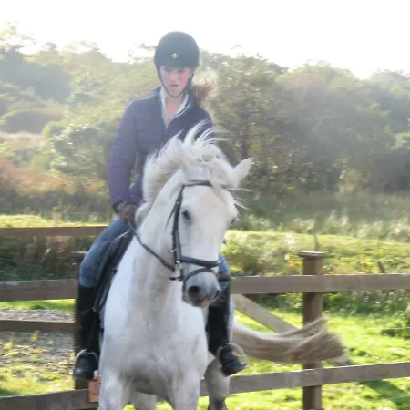 Bunkhouse - Farm Letterfrack