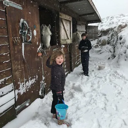 Feriehus Bunkhouse - Farm Letterfrack