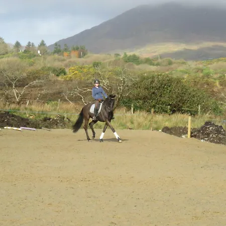 別荘 Bunkhouse - Farm