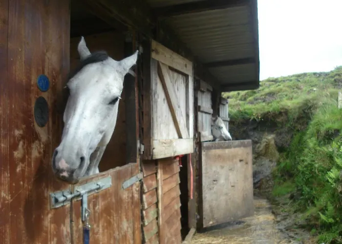 Bunkhouse - Farm Hébergement de vacances