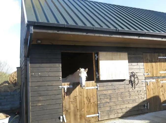 Hébergement de vacances Bunkhouse - Farm