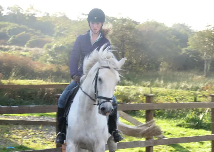 Bunkhouse - Farm Леттерфрак