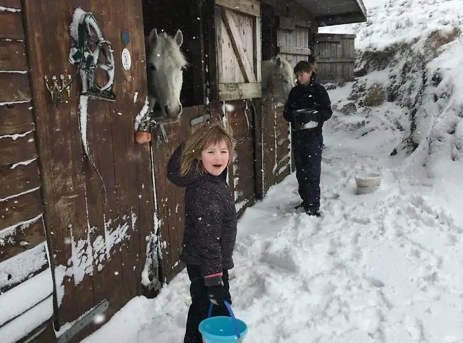 Дом отдыха Bunkhouse - Farm Леттерфрак