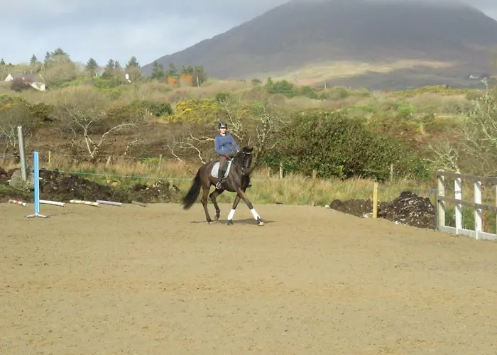 Дом отдыха Bunkhouse - Farm